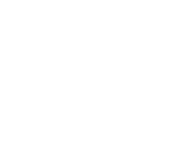 JSM Support